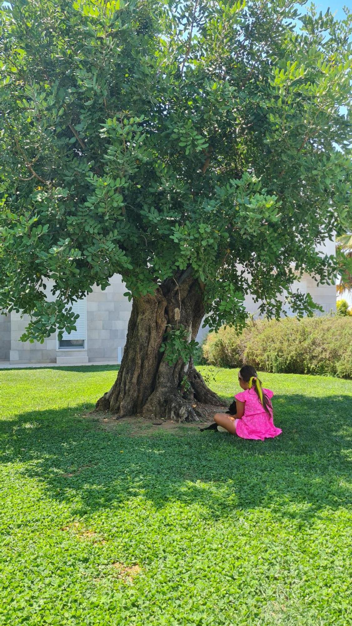I Mestri Holiday Homes Uggiano La Chiesa Εξωτερικό φωτογραφία